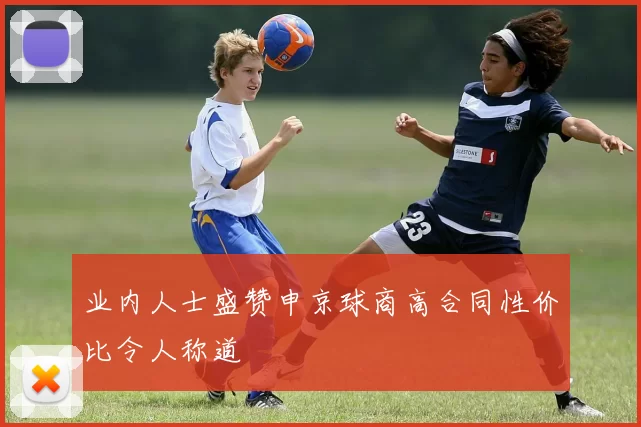 业内人士盛赞申京球商高合同性价比令人称道