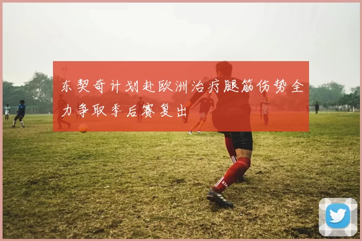 东契奇计划赴欧洲治疗腿筋伤势全力争取季后赛复出